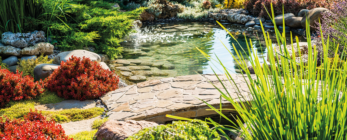 Wasser im Garten EGN Klosterfelde